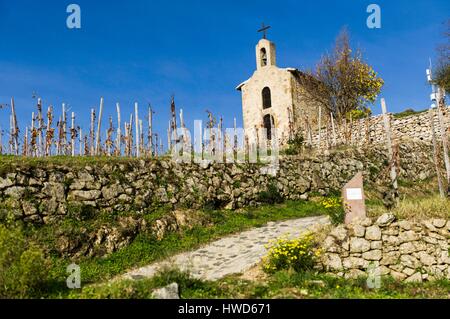 France, Drôme, Tain l'Hermitage, vallée du Rhône, Hill et vignoble de l'Hermitage, la chapelle Banque D'Images