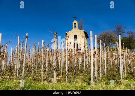 France, Drôme, Tain l'Hermitage, vallée du Rhône, Hill et vignoble de l'Hermitage, la chapelle Banque D'Images