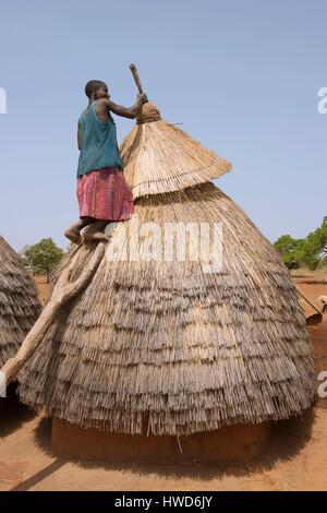 Le Togo, région du nord, fille de l'ouverture d'un grenier, Tamberma maisons d'argile, tatas sont inscrit au Patrimoine Mondial de l'humanité Banque D'Images