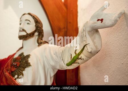 Seychelles, Fregate Island, Fregate Island Private, chapelle, Seychelles Gecko Phelsuma astriata astriata (vert) sur le manchon du Christ Banque D'Images