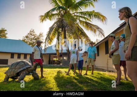 Les Seychelles, l'île Bird, Lodge, Roby BRESSON, naturaliste, présente une tortue géante des Seychelles (Aldabrachelys gigantea) pour les touristes à l'lodget Banque D'Images