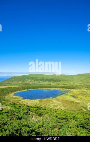 Le Portugal, l'archipel des Açores, l'île de Flores, Morro Alto et Pico do Sé Réserve Forestière Naturelle, Lagoa Branca Banque D'Images