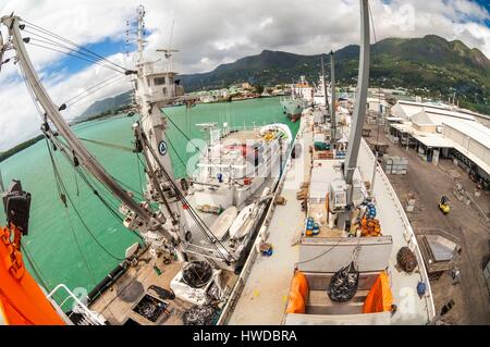 Seychelles, océan Indien, l'île de Mahé, Victoria, chargement à bord d'un cargo de marchandises dans le port de Victoria, le premier port de transbordement de thon de l'Océan Indien Banque D'Images