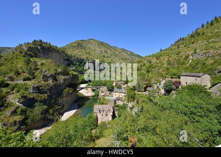 La France, la Lozère, les Causses et les Cévennes, paysage culturel agropastoraux méditerranéens, inscrite au Patrimoine Mondial de l'UNESCO, les Gorges du Tarn, St Chely du Tarn Banque D'Images