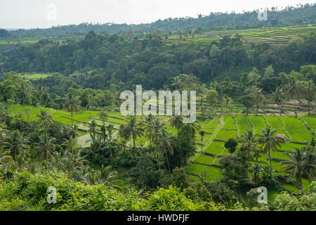 Vue depuis l'Indonésie, Lombok, Senaru Banque D'Images