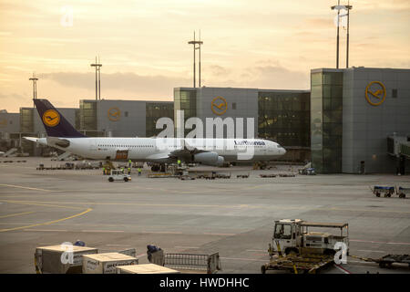 Francfort, Allemagne, Airbus A340-300 de la Lufthansa de Görlitz Banque D'Images