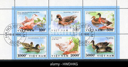 Un timbre-poste imprimé en Vietnam et montre un canards, circa 1990 Banque D'Images