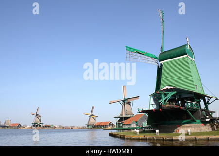 Zaanse Schans, Zaandam, Hollande. Panorama des 4 moulins à vent du 18ème siècle. De droite à gauche : Gekroonde Poelenburg, de Kat, de Zoeker, Het Jonge Schaap. Banque D'Images