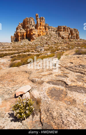 Paysages désertiques, dans des régions éloignées du Cederberg Wilderness en Afrique du Sud. Banque D'Images