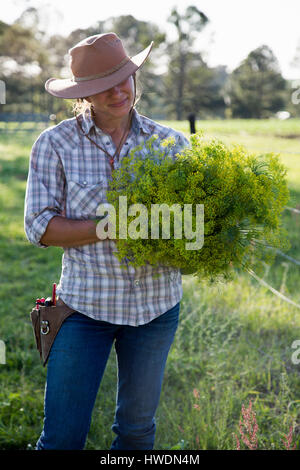 Young woman holding bunch of flowering aneth (Anethum graveolens) de fleur farm field Banque D'Images