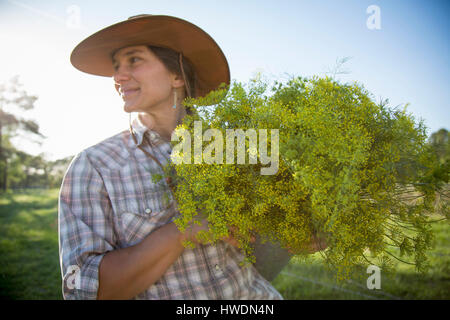 Young woman holding bunch of flowering aneth (Anethum graveolens) de fleur farm field Banque D'Images