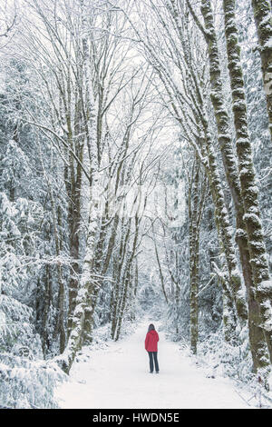 Femme dans la forêt d'épinettes, Bainbridge Island, Washington, US Banque D'Images