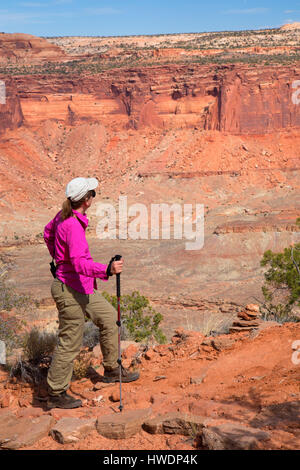 Alcove Spring Trail, Canyonlands National Park, Utah Banque D'Images