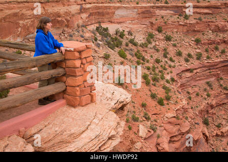 Buck Creek surplombent, Canyonlands National Park, Utah Banque D'Images