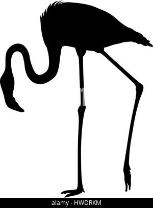 Abstract vector illustration d'une silhouette flamingo Illustration de Vecteur