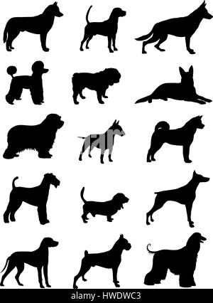 Vector illustration de divers dog race silhouettes Illustration de Vecteur