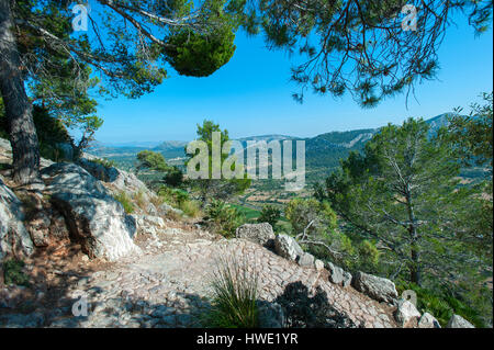 Vue du Puig de Maria, Pollensa, Mallorca, Baleares, Espagne Banque D'Images