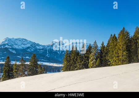 Arbres couverts de neige et les Alpes allemandes sur un début de matinée d'hiver Banque D'Images