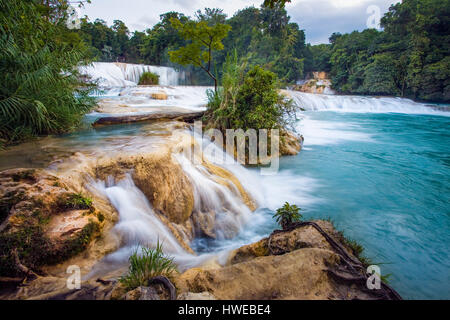 Les cascades d'Agua Azul s'écoulent dans les piscines d'azur à Chiapas, au Mexique. Banque D'Images