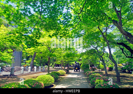 Gotokuji Setagaya Tokyo Japon Temple Banque D'Images