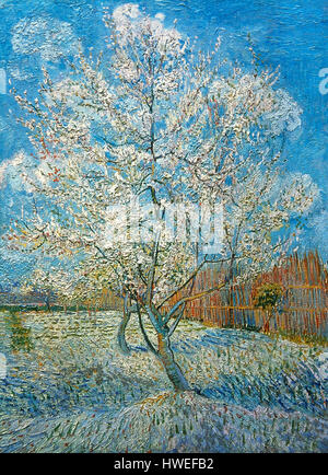 Vincent Van Gogh (1853-1890). Peintre postimpressionniste néerlandais. Peach Tree, 1888. Vincent Van Gogh. Amsterdam. La Hollande. Banque D'Images