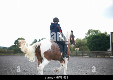 Young woman riding horse autour de paddock, vue arrière Banque D'Images