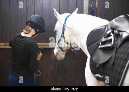 Jeune femme se tenir à cheval en stable, vue arrière Banque D'Images