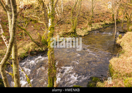 La rivière serpentant à travers Marteg Gilfach Nature Reserve dans les monts Cambriens Rhayader Wales Banque D'Images