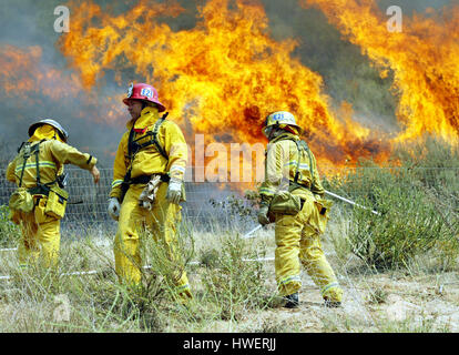 Les pompiers regardent un coup de pinceau brûler un côté d'une colline à Temecula, Californie, le mardi 04 mai 2004. Le temps sec et chaud récent a rendu les conditions dans le sud de la Californie vulnérables aux feux de forêt qui ont détruit la forêt et certains bâtiments. Photo par Francis Specker Banque D'Images