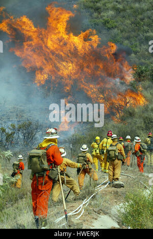 Regarder les pompiers un pinceau feu brûler un côté d'une colline dans la région de Temecula, Californie le mardi 04 mai 2004. Par temps chaud, sec récente a fait des conditions dans le sud de la Californie à widlfires vulnérables qui ont détruit la forêt et certains bâtiments .Photo par Francis Specker Banque D'Images