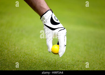 La main de l'homme dans un gant blanc mettre une balle de golf dans un terrain de golf Banque D'Images