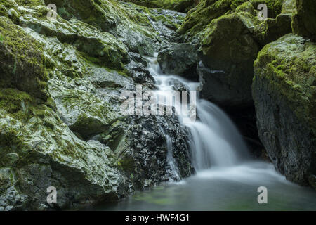 L'eau qui coule dans la cataracte Falls Banque D'Images