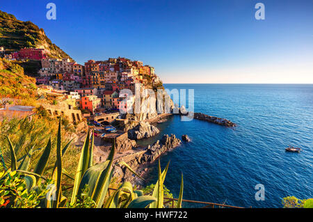 Manarola village sur falaise rochers et mer au coucher du soleil., Paysage marin dans cinq terres, Parc National des Cinque Terre, la Ligurie Italie Europe. Banque D'Images