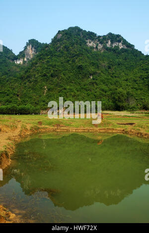 Belle campagne de Quang Binh, Viet Nam, vert domaine de l'agriculture, de la chaîne de montagnes, l'air frais, eco green faire belle destination pour voyage vietnam Banque D'Images