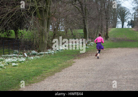 Une femme en jogging Hardwick Park,fr,Sedgefield Durham, Angleterre, Royaume-Uni Banque D'Images