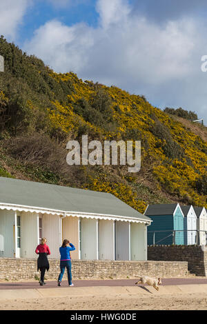 Bournemouth, Dorset, UK. Mar 21, 2017. Météo France : Bournemouth bénéficie d'une belle journée ensoleillée comme visiteurs chef de la mer pour profiter du soleil sur les plages de Bournemouth. Deux femme et chien profitez d'une promenade le long de la promenade du cours des cabanes de plage Crédit : Carolyn Jenkins/Alamy Live News Banque D'Images