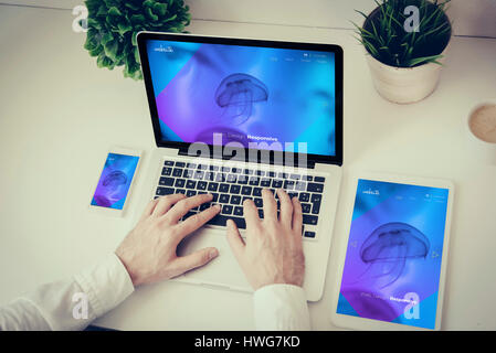 Affaires, de la technologie et de responsive design concept : mains écrit sur un ordinateur portable avec téléphone et tablette écran site web cool Banque D'Images