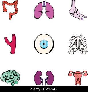 Anatomie icons set, cartoon style Illustration de Vecteur