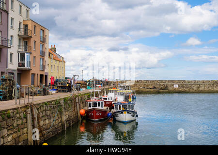 Les bateaux de pêche amarrés dans le port. St Andrews, Fife, Scotland, UK, Grande-Bretagne Banque D'Images