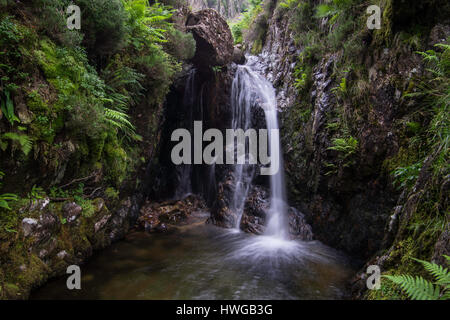 Dungeon Ghyll vigueur lower falls, Dungeon Ghyll, Elterwater, Lake District, Cumbria, England, UK Banque D'Images