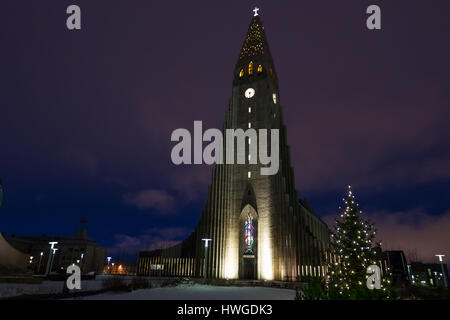 Vue de la nuit de Skolavordustigur rue menant à l'église Hallgrimskirkja, l'un des monuments de Reykjavik, la capitale de l'Islande. Banque D'Images