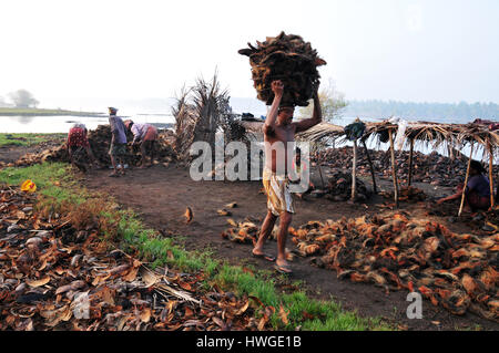 Un travailleur de prendre les écorces de noix de coco [couche externe de la peau enlevée] à l'usine de coco. Banque D'Images