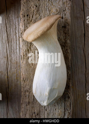 King a champignons Pleurotus eryngii (trompette) sur sol en bois Banque D'Images