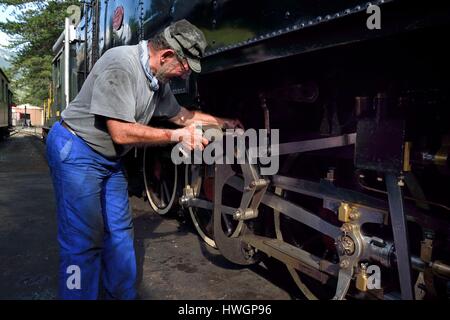 France, Alpes Maritimes, Puget Theniers, le Train des Pignes train historique à vapeur, moteur, fonctionnement de graissage Banque D'Images