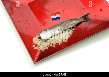 Filet de hareng avec pavillon néerlandais, oignons hachés sur une plaque rouge Banque D'Images