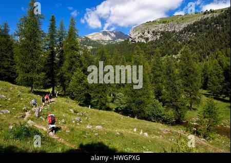 France, Alpes Maritimes, le parc national du Mercantour (Parc National du Mercantour), vallon de la Minière (Miniere valley) en dessous de la Vallée des Merveilles (Vallée des Merveilles), sentier de randonnée pédestre au Mont Bego (2872m) en arrière-plan Banque D'Images