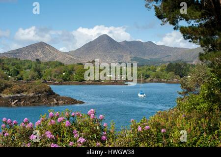 L'Irlande, comté de Cork, Cork, Bantry Bay, l'île de Garinish, Ilnacullin Garinish, voilier dans la baie, l'Acha montagnes en arrière-plan Banque D'Images