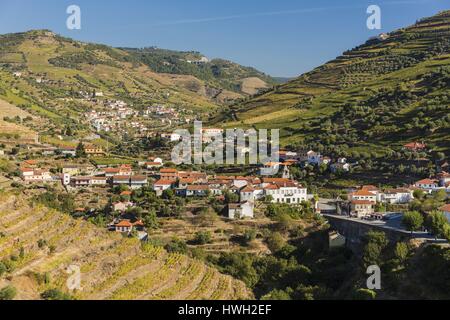 Le Portugal, l'Presegueda, la Vallée du Douro et ses vignobles classé Patrimoine Mondial de l'UNESCO Banque D'Images