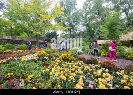 Chine, Jiangsu, Suzhou, Suzhou est l'une des plus anciennes villes du bassin du Chang Jiang et le berceau de la culture Wu, ville de canaux et de jardins, l'Humble Administrator's Garden, figurant sur la Liste du patrimoine mondial par l'UNESCO Banque D'Images