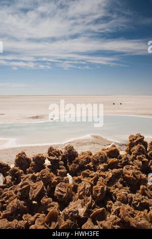 La Tunisie, la Région Provence, Tozeur, Salt Lake à Chott el Jerid, desert rose, des rochers Banque D'Images